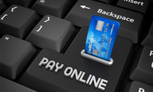 Vague Pay, Online Payment, Internet, Epayment