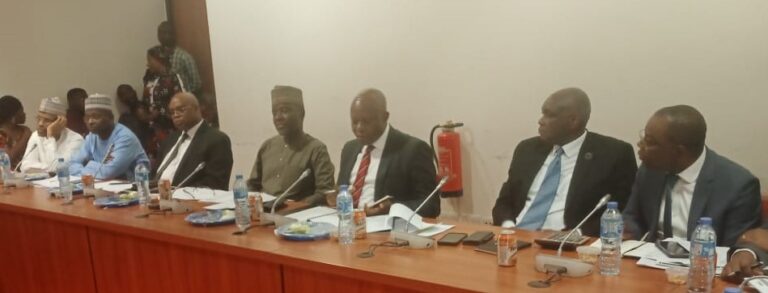 Senate hails NCC’s 2023 budget implementation, approves N549.6bn for 2024