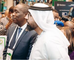 Obafemi Hamzat