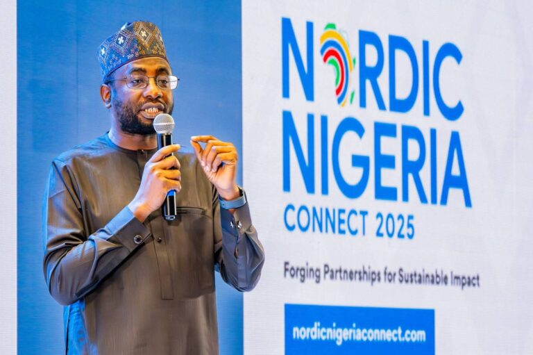 Nigeria’s digital ambition beyond cables and data centers