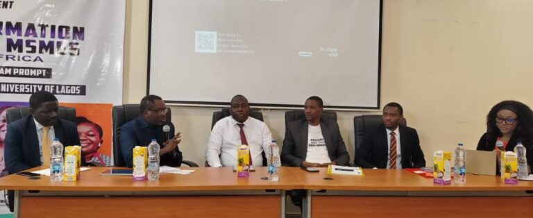 Youth-Led MSMEs in Sub-Saharan Africa facing digital maturity crises – Study