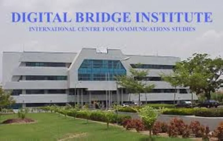 Digital Bridge Institute governing board gets new chairman